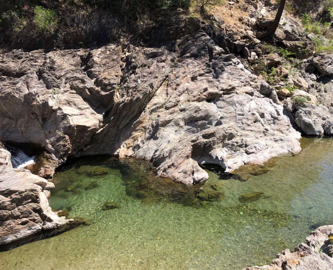 Gite De La Jasse Chamborigaud Bagian luar foto